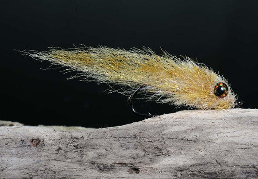 EP Goby