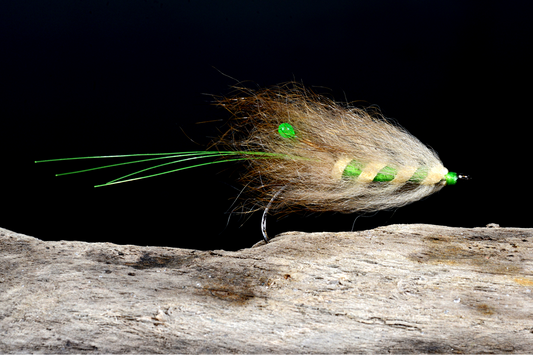 Opossum Shrimp