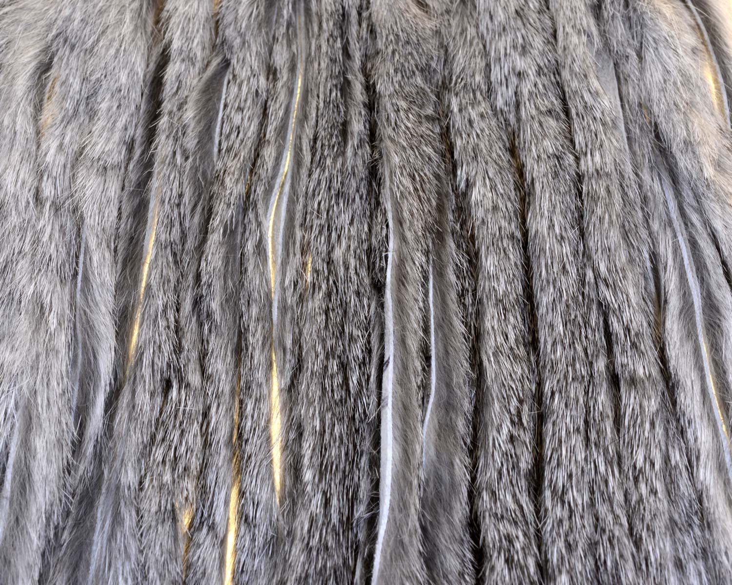 A.Jensen RABBIT ZONKER STRIPS