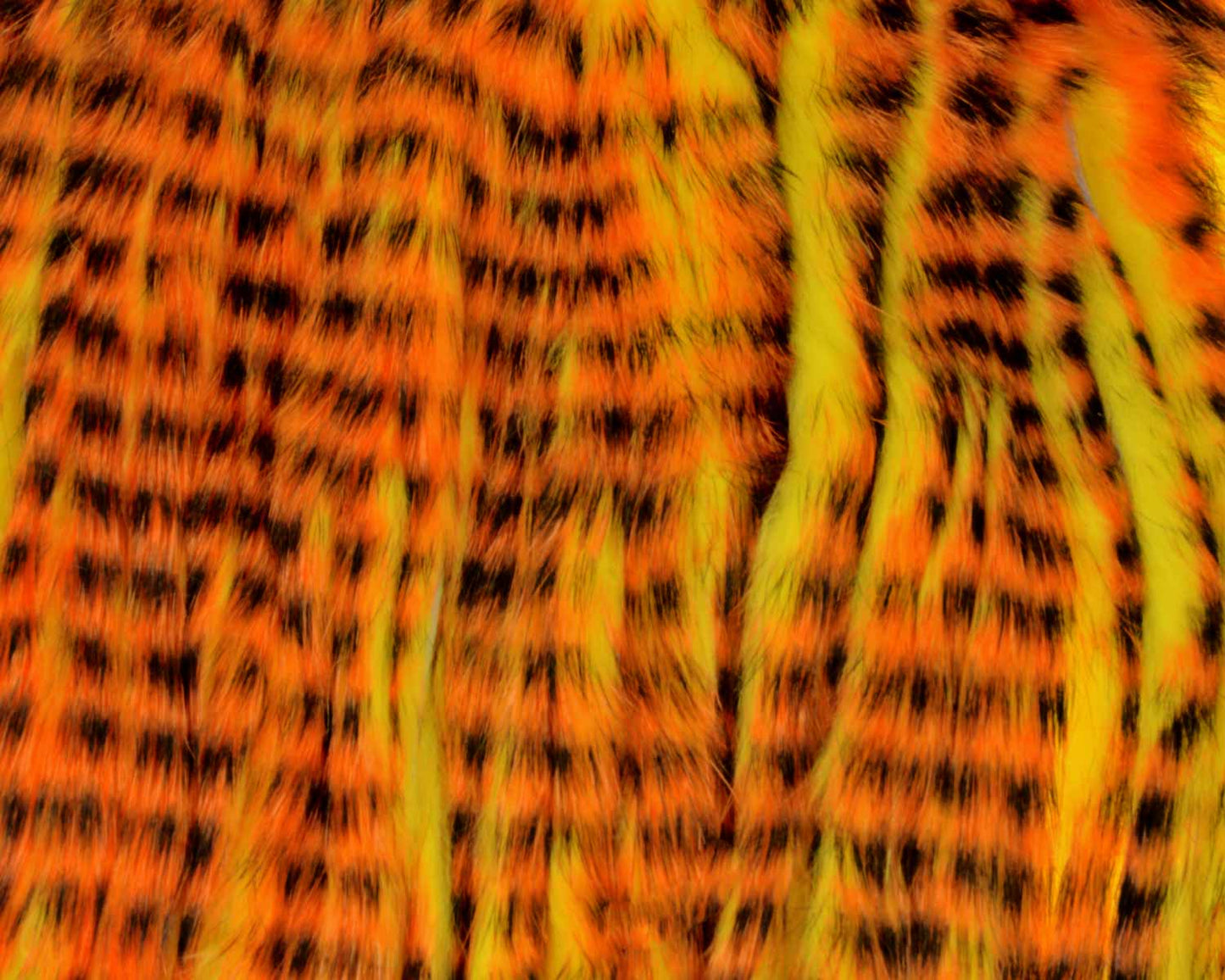 A.Jensen TIGER ZONKER STRIPS