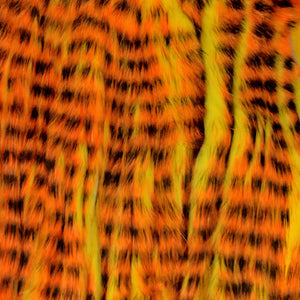 A.Jensen TIGER ZONKER STRIPS