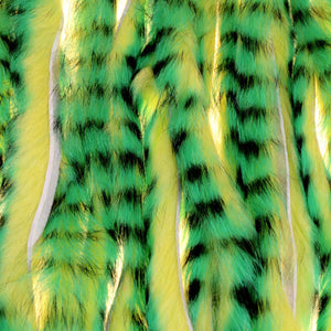 A.Jensen TIGER ZONKER STRIPS