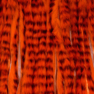 A.Jensen TIGER ZONKER STRIPS