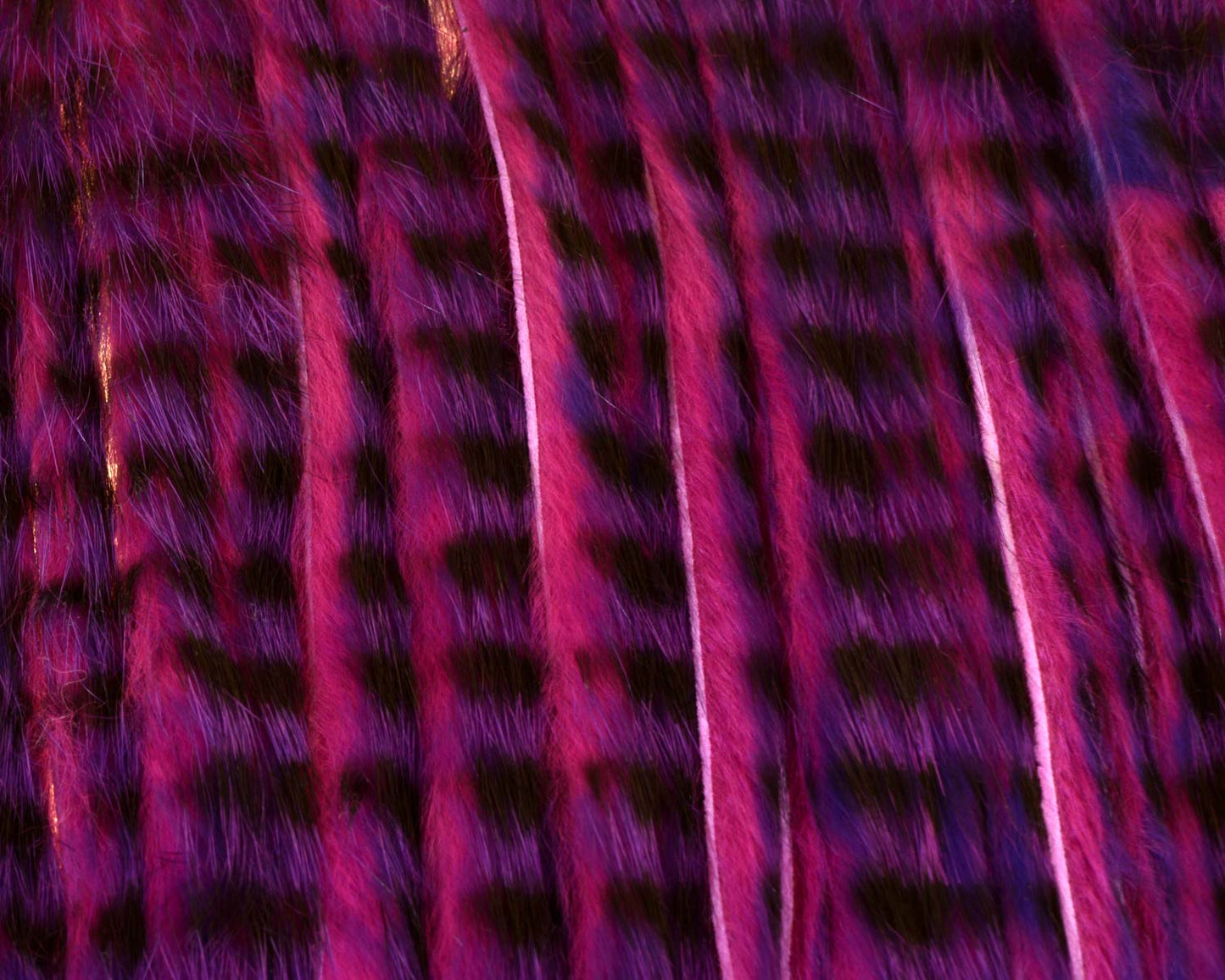 A.Jensen TIGER ZONKER STRIPS