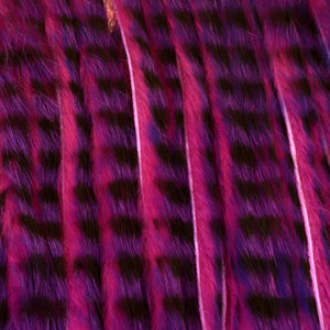 A.Jensen TIGER ZONKER STRIPS