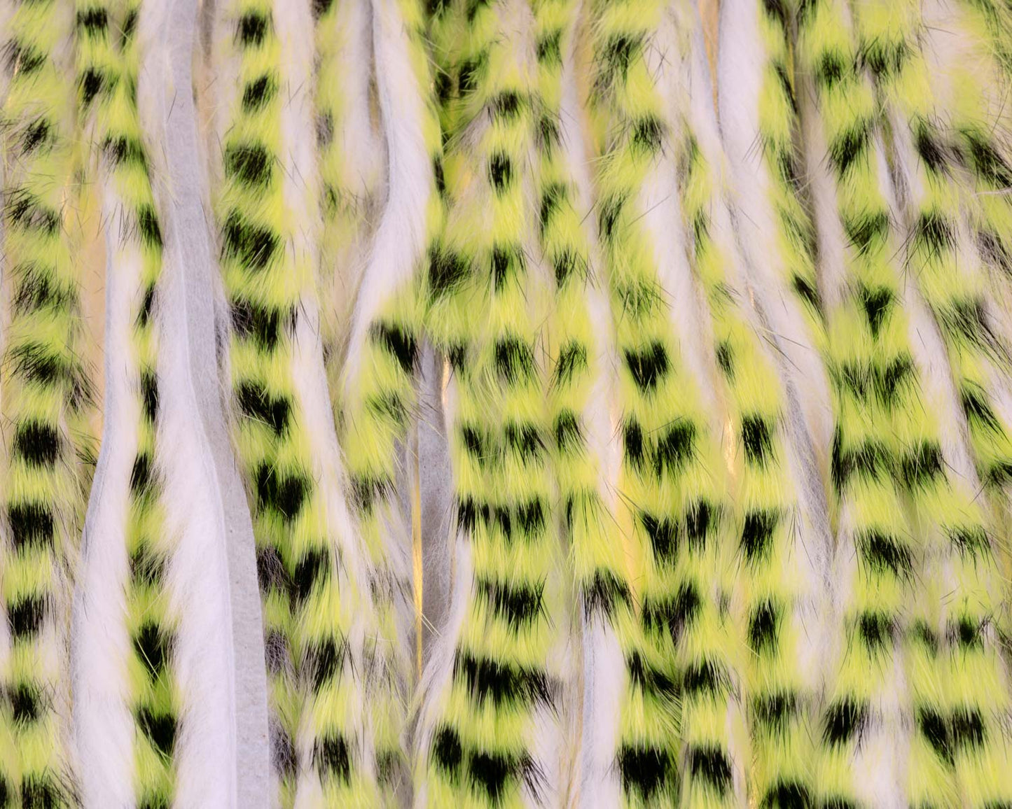 A.Jensen TIGER ZONKER STRIPS