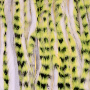 A.Jensen TIGER ZONKER STRIPS