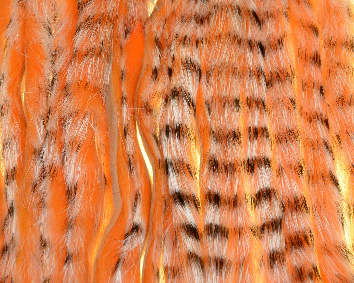 A.Jensen TIGER ZONKER STRIPS