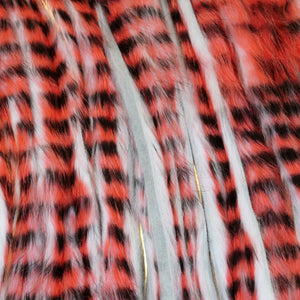 A.Jensen TIGER ZONKER STRIPS