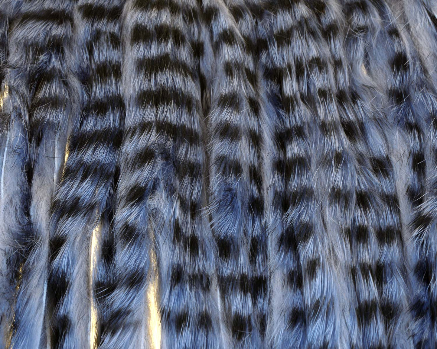 A.Jensen TIGER ZONKER STRIPS