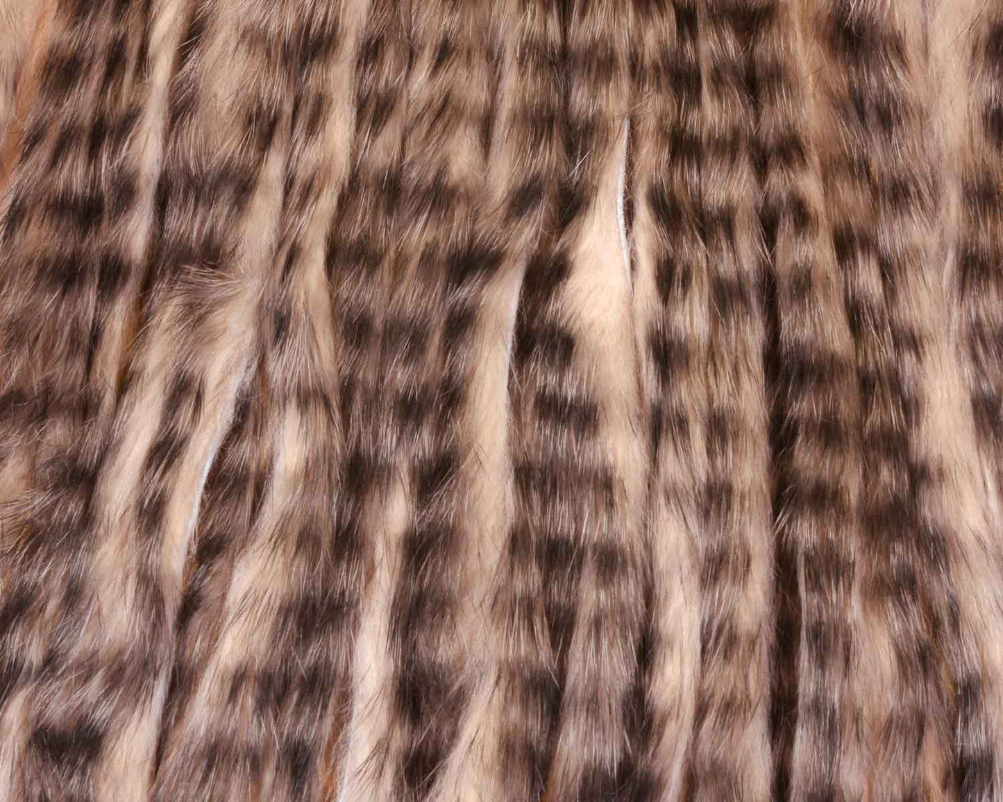 A.Jensen TIGER ZONKER STRIPS
