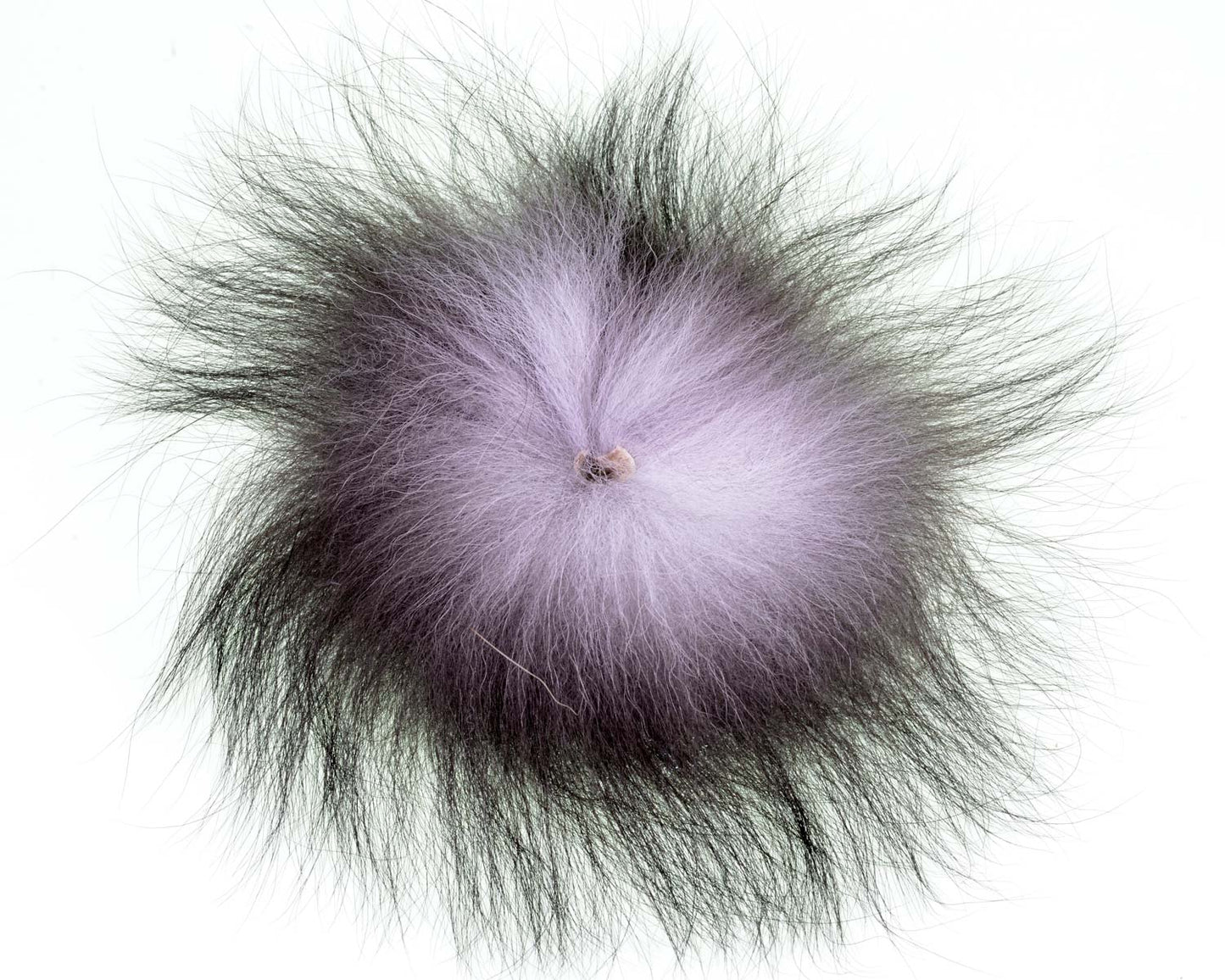 A:jensen Silberfuchsschwanz