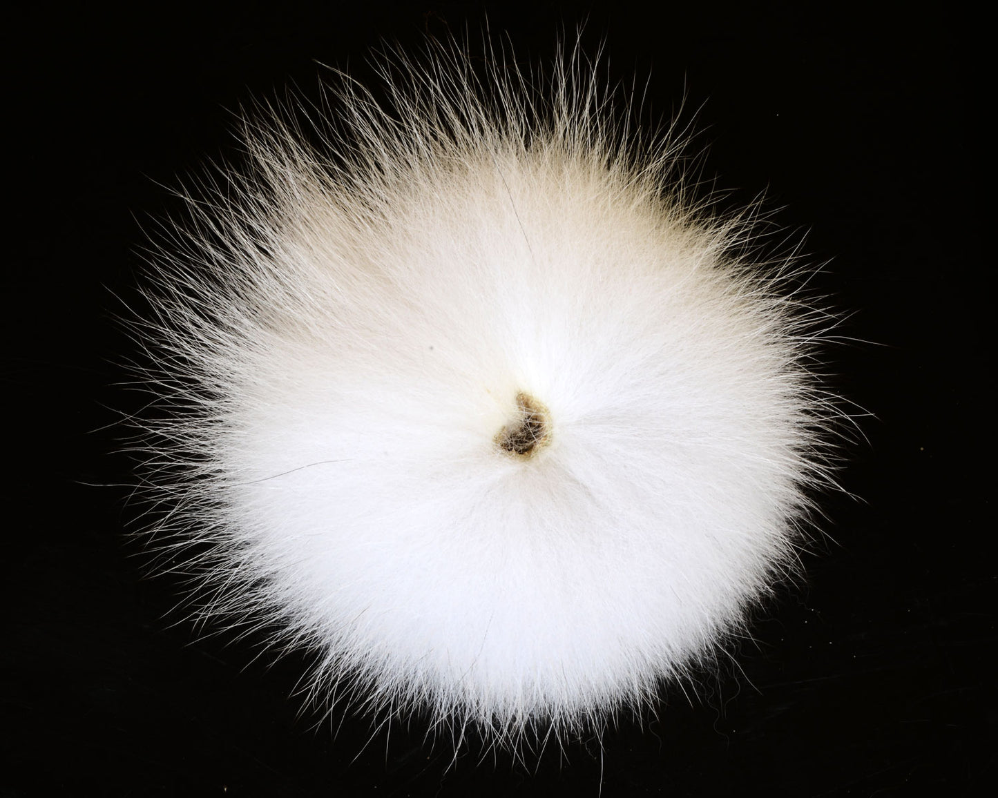 A.Jensen GRADE 1 FOX TAIL