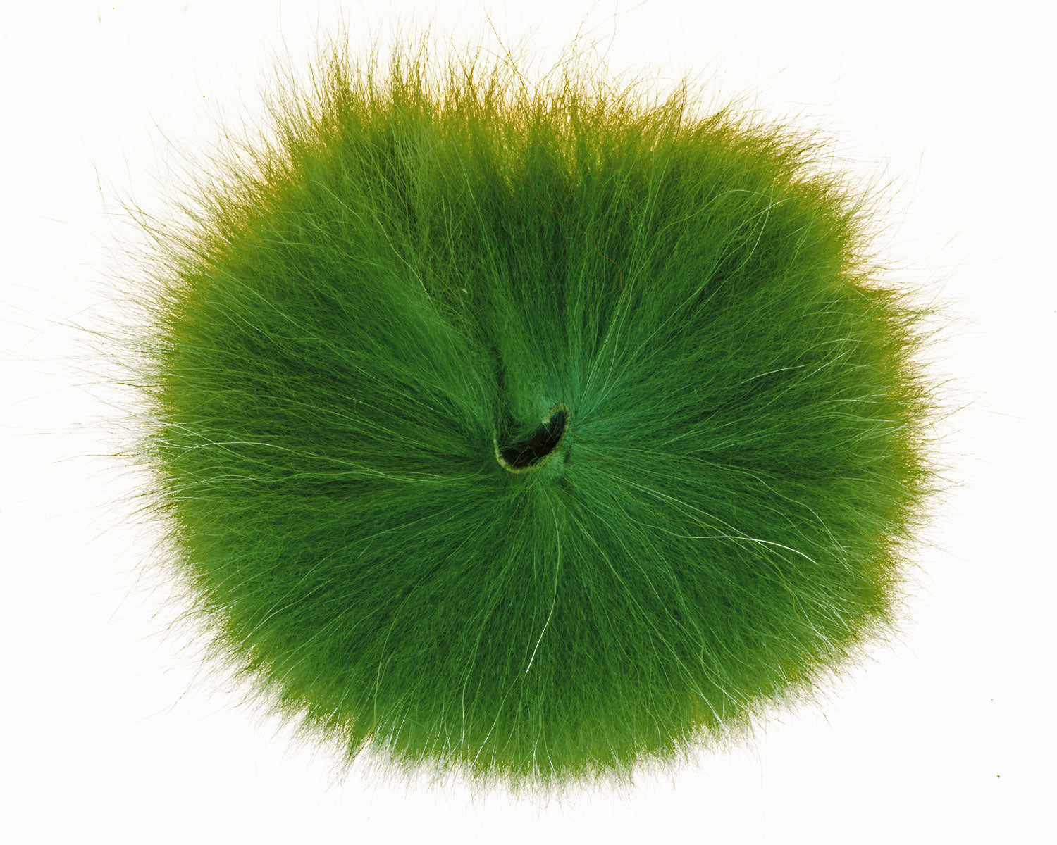 A.Jensen GRADE 1 FOX TAIL