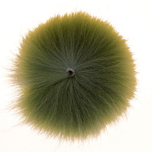 A.Jensen KLASSE 1 FUCHSSCHWANZ