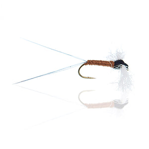 A.Jensen DRY FLIES - Modern Classics 2