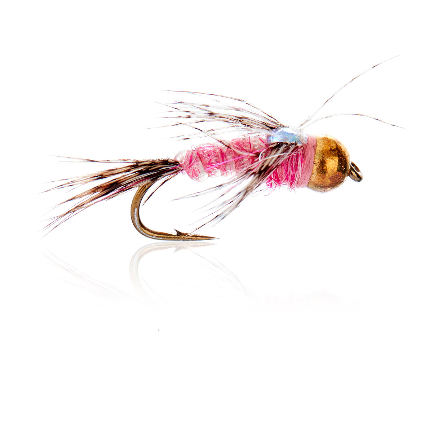A.Jensen TUNGSTEN BEAD HEAD NYMPHS