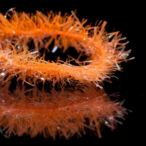 A.Jensen CACTUS CHENILLE