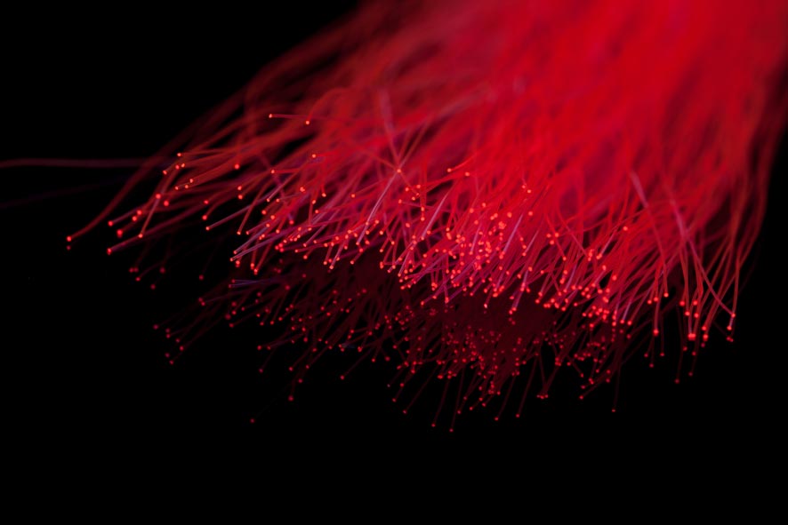 A.Jensen RIZZ FIBER