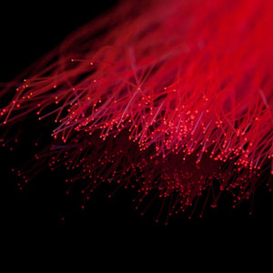 A.Jensen RIZZ FIBER
