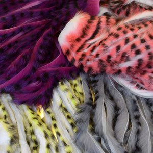 A.Jensen TIGER ZONKER STRIPS