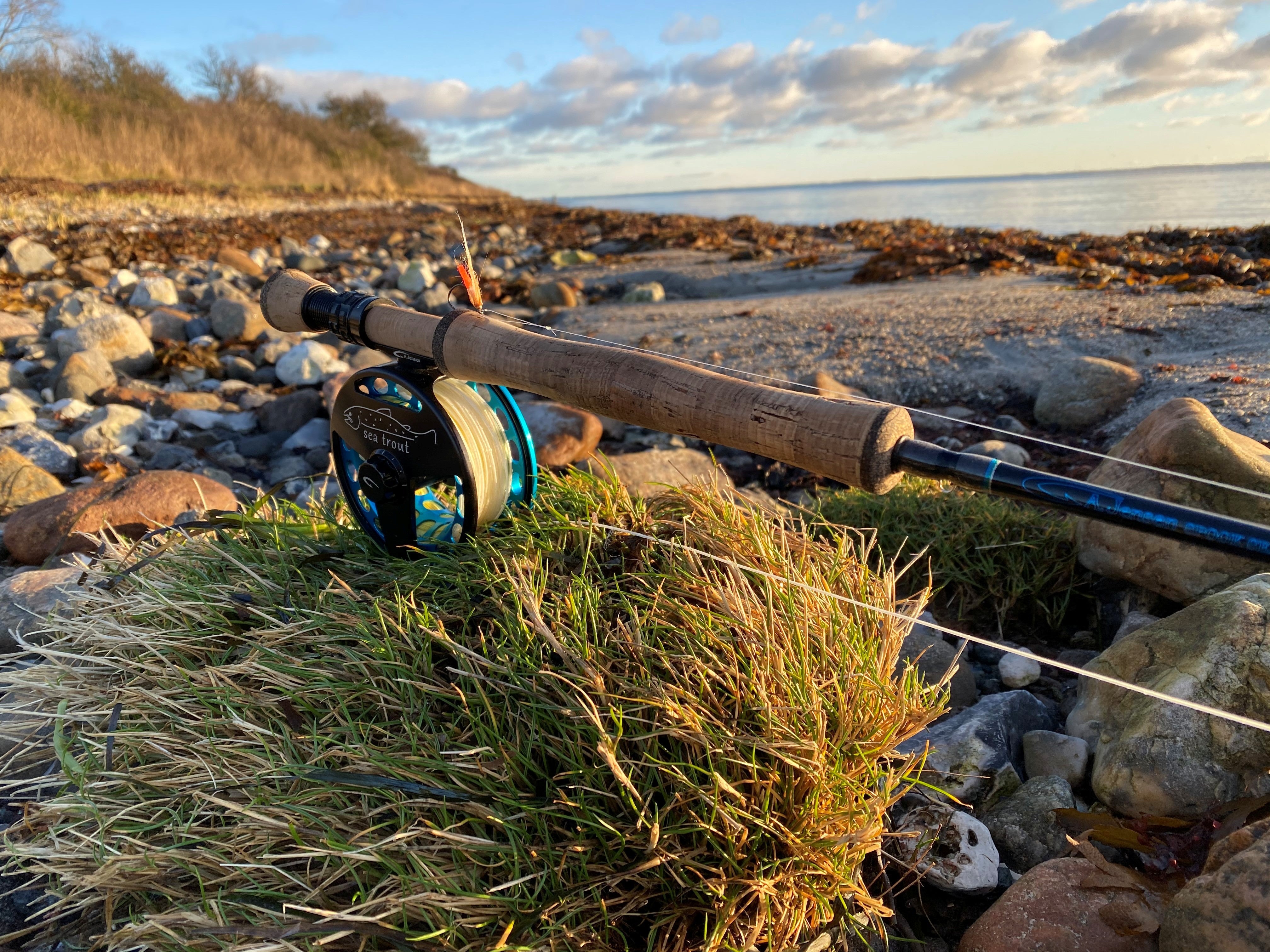 Coastal Seatrout & Bass